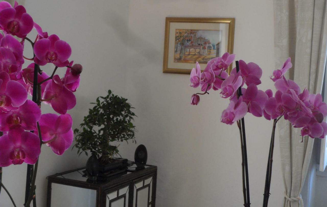 Hotel Casa Coimbra Exteriér fotografie